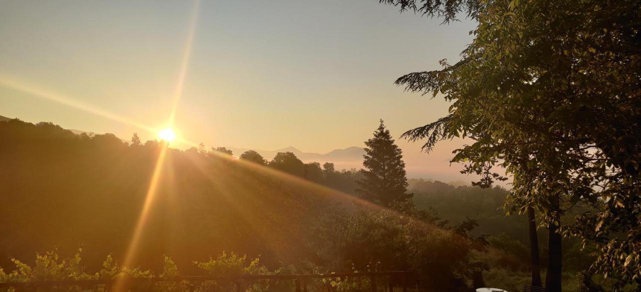 "Il Casaletto" Agriturismo Moderno, Vista Panoramica E Cibo Spettacolare- 斯库科拉－马西卡纳 外观 照片