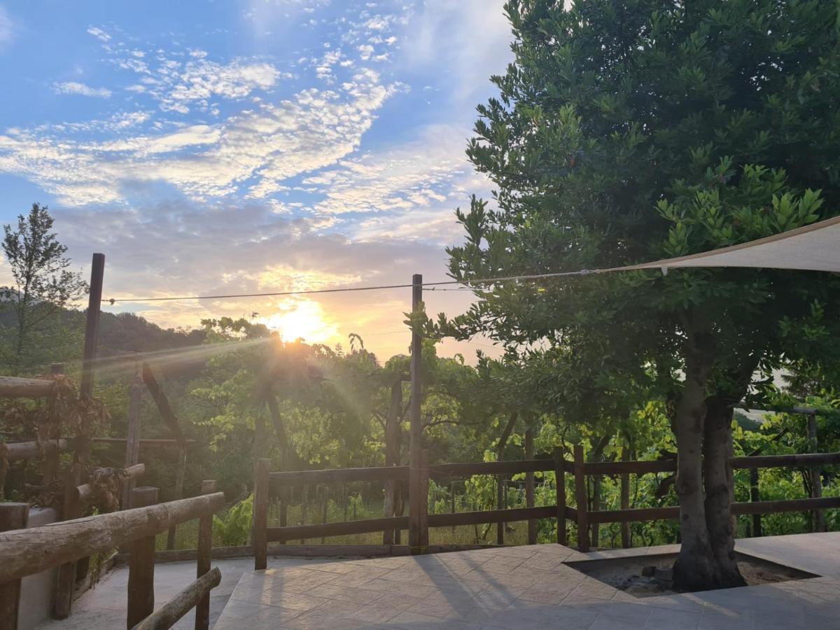 "Il Casaletto" Agriturismo Moderno, Vista Panoramica E Cibo Spettacolare- 斯库科拉－马西卡纳 外观 照片