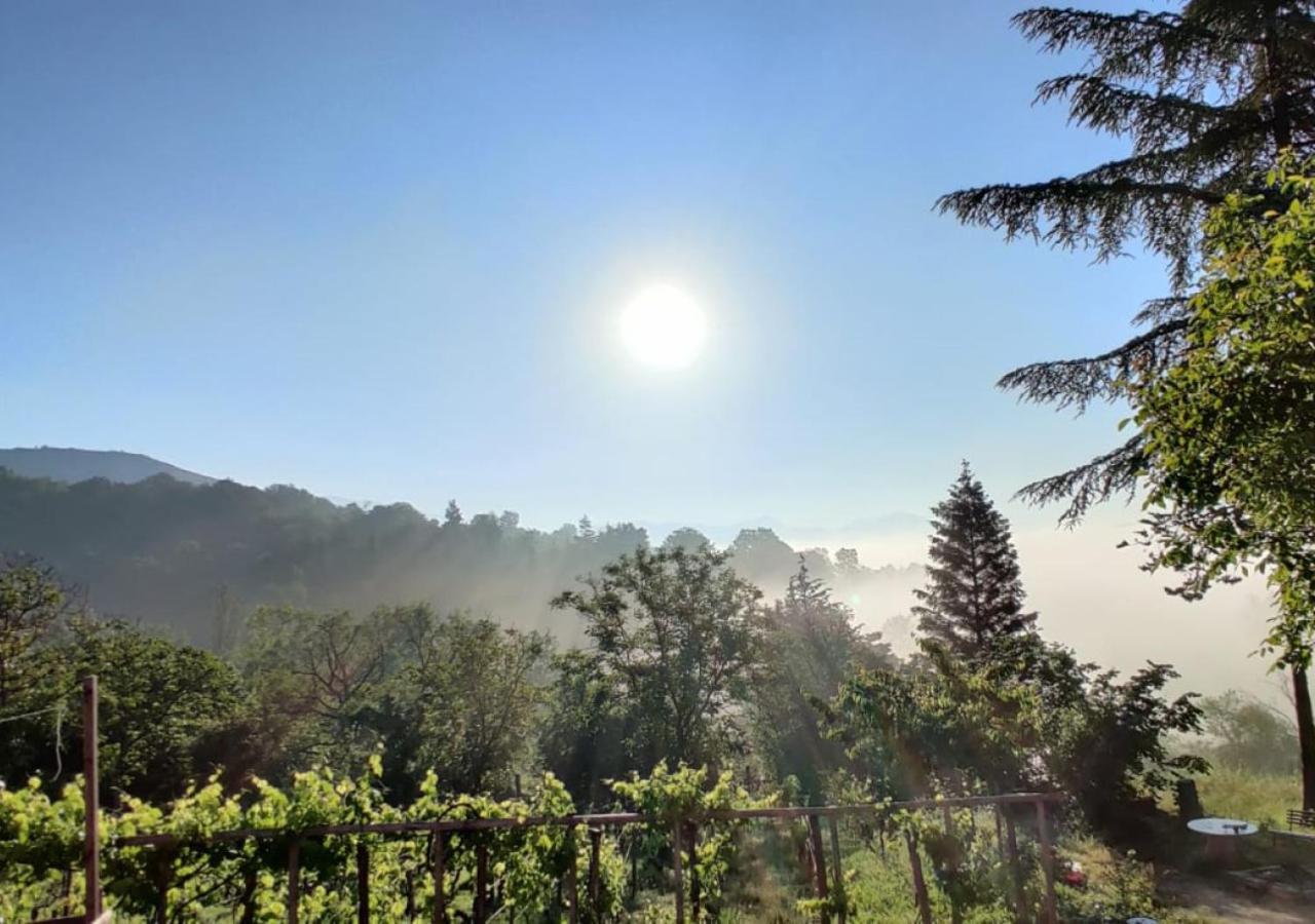 "Il Casaletto" Agriturismo Moderno, Vista Panoramica E Cibo Spettacolare- 斯库科拉－马西卡纳 外观 照片