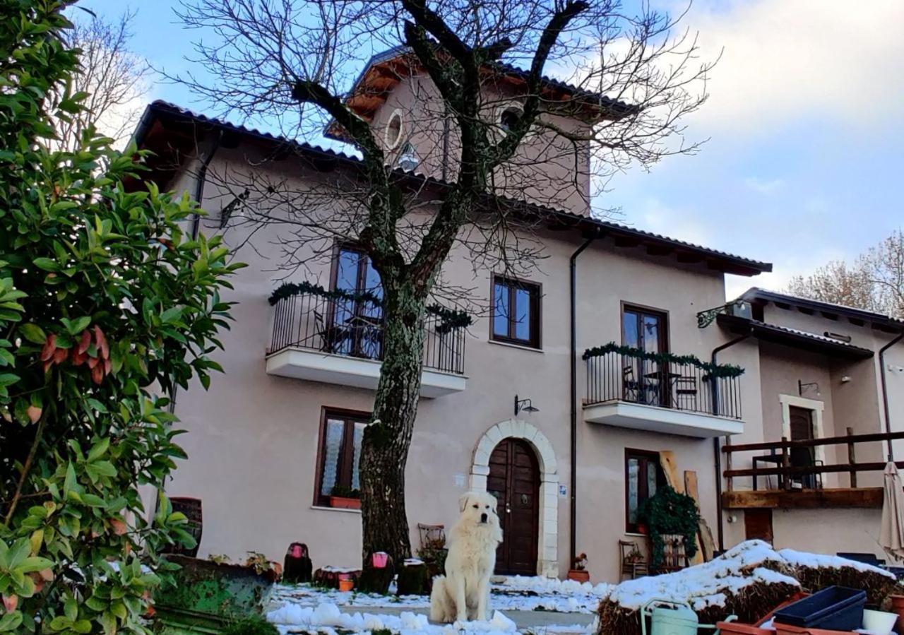 "Il Casaletto" Agriturismo Moderno, Vista Panoramica E Cibo Spettacolare- 斯库科拉－马西卡纳 外观 照片
