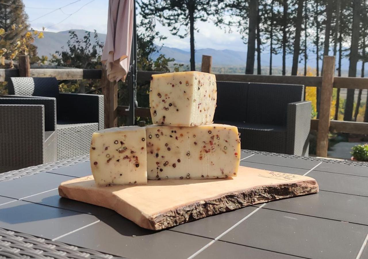 "Il Casaletto" Agriturismo Moderno, Vista Panoramica E Cibo Spettacolare- 斯库科拉－马西卡纳 外观 照片