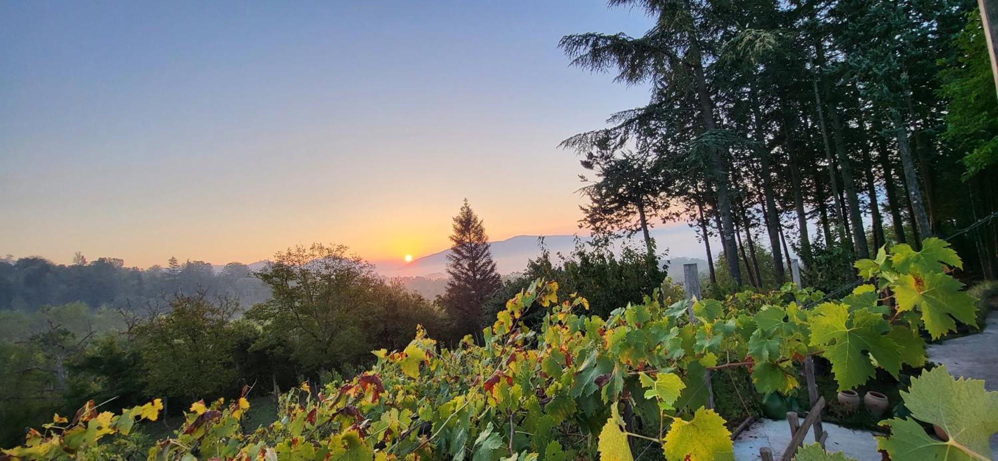 "Il Casaletto" Agriturismo Moderno, Vista Panoramica E Cibo Spettacolare- 斯库科拉－马西卡纳 外观 照片