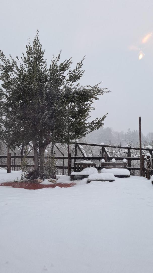 "Il Casaletto" Agriturismo Moderno, Vista Panoramica E Cibo Spettacolare- 斯库科拉－马西卡纳 外观 照片