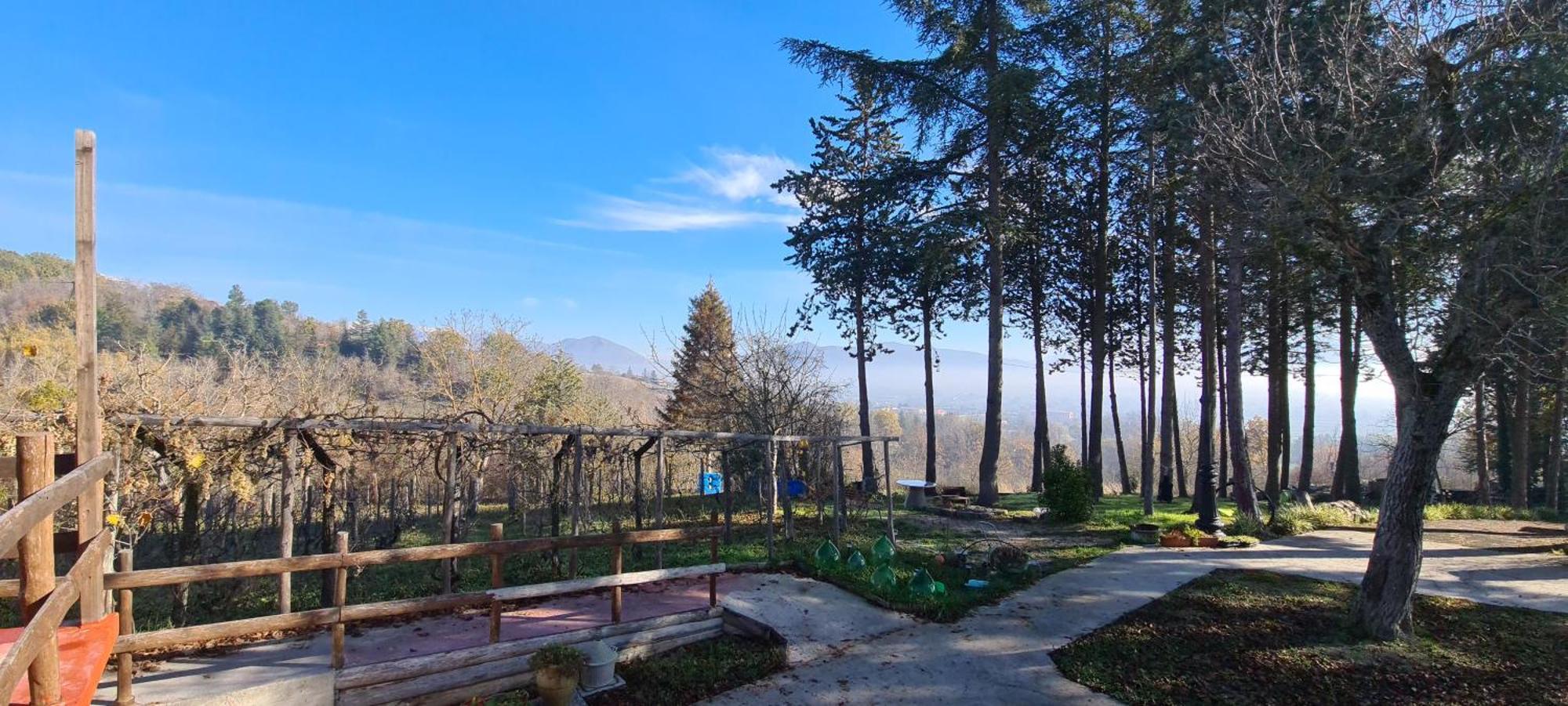 "Il Casaletto" Agriturismo Moderno, Vista Panoramica E Cibo Spettacolare- 斯库科拉－马西卡纳 外观 照片